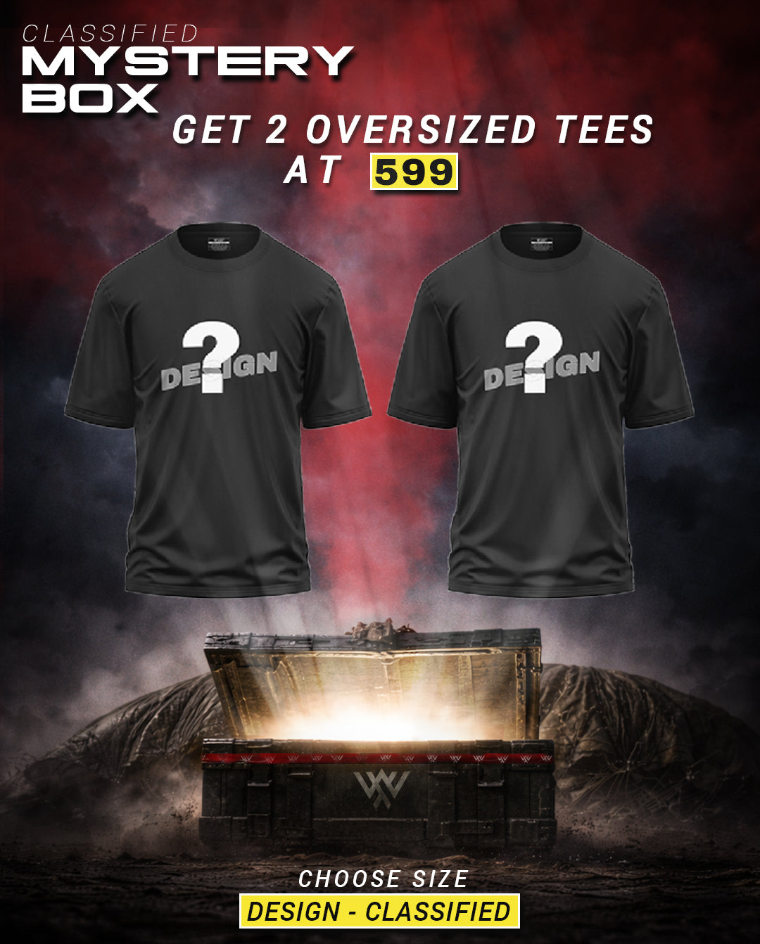 Mystery Box - Get 2 Mystery Oversized T-Shirt